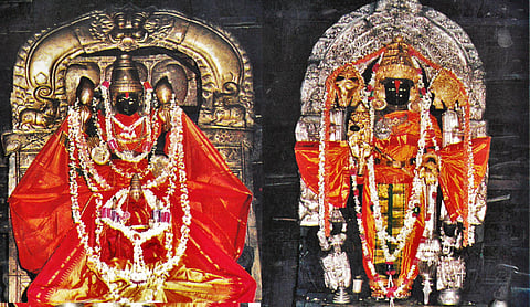 மோகினி அலங்காரத்தில்
ஸ்ரீ சென்னகேசவர்!