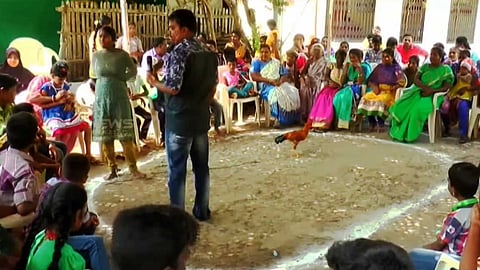 ஆண்கள் மட்டும் தான் ஜல்லிக்கட்டில் பங்கேற்க முடியுமா? பெண்களே!! இதோ உங்களுக்கும் ஒரு ஜல்லிக்கட்டு!