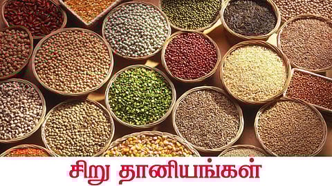 சிறு தானியங்கள் தரும் பெரும் நன்மைகள் !