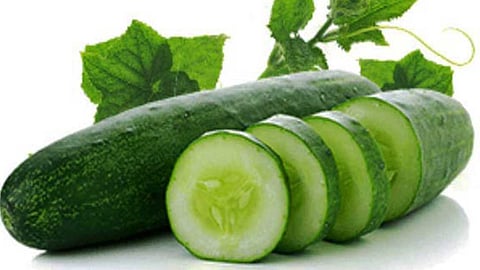 வெப்பம் தணிக்கும் வெள்ளரி!