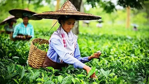 புத்துணர்ச்சி பானத்தின் வயது 200!