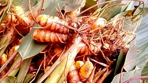 சிறப்பு சந்தை