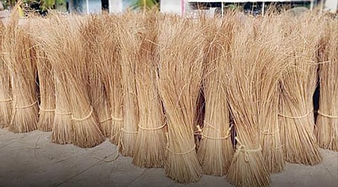 கப்பலில் பயணிக்கப்போகும் ஈர்க்கு குச்சிகள்!