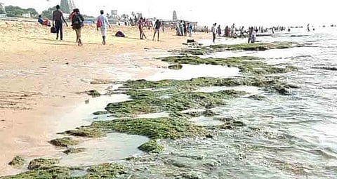 உள்வாங்கிய கடல்; மீட்கப்பட்ட சிலைகள்!