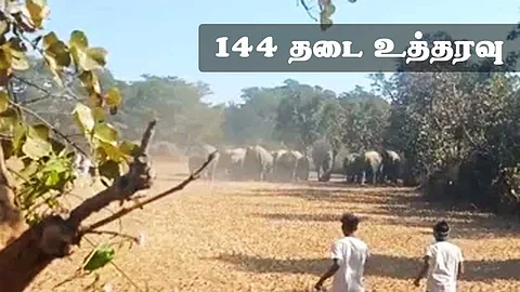 அரிக்கொம்பன் யானையை பிடிக்கும் வரை தொடர்ந்து 144 தடை உத்தரவு !
