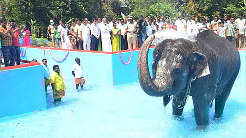 கல்யாணி யானைக்குக் குளியல் தொட்டி!