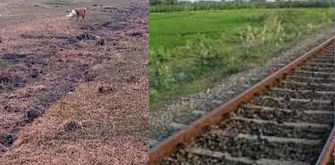 ரயில் தண்டவாளத்தை ஆட்டைய போட்ட திருட்டு கும்பல்!