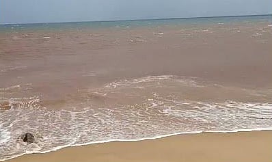 நிறம் மாறிக் காட்சி தரும் கடற்கரை!