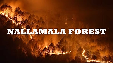 வெப்பநிலை அதிகரிப்பால் ஆந்திராவின் நல்லமலா வனப்பகுதியில் காட்டுத்தீ!