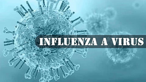 இன்ப்ளூயன்சா வைரஸ் பரவல்!தமிழ்நாடு சுகாதாரத்துறையின் வழிகாட்டு நெறிமுறைகள் !