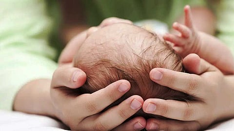 எந்தக் கருவும் உற்பத்தியில் பெண்தான் தெரியுமா? பிறகுதான்...