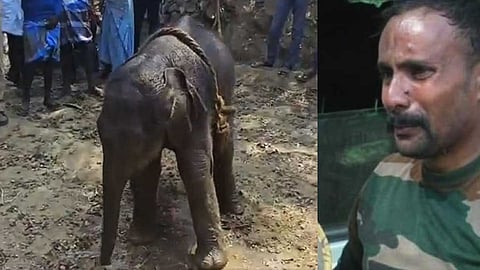 யானைக்குட்டியை பிரிய முடியாமல் கதறி அழுத வனத்துறை அதிகாரி! வைரல் வீடியோ!