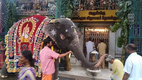 புதுச்சேரி மணக்குள விநாயகர் கோயில் யானைத் தந்தம் பொதுமக்கள் வழிபாட்டுக்கு கோயிலில் வைக்கப்படுமா?