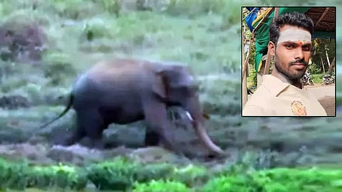 செல்பி மோகம்; உயிர் போனது சோகம்; அந்தோ பரிதாபம்!