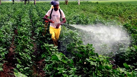 தற்கொலைகளை தடுக்க 6 பூச்சிக்கொல்லி மருந்துகளுக்கு நிரந்தர தடை!