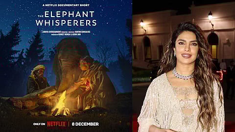 யானைப் படத்திற்கு ஆதரவு கோரும் பாலிவுட் நடிகை!