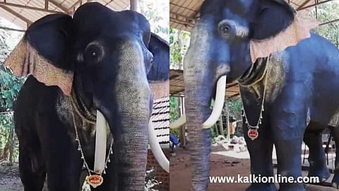 கேரளா கோவிலில் ரோபோ யானை.