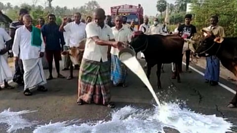 பா(ல்)ழ்