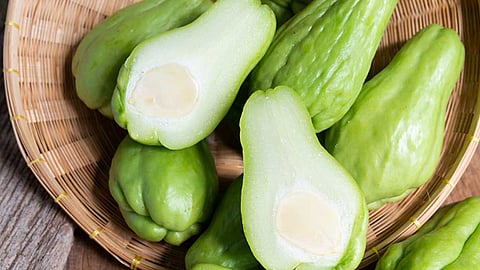 சௌக்கியம் தரும் சௌ சௌ