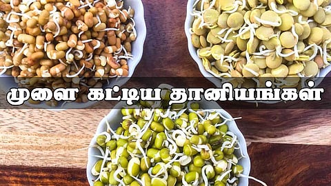 Sprouted grains