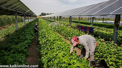 இனி ஒரே நேரத்தில் விவசாயமும் மின்சாரமும்.