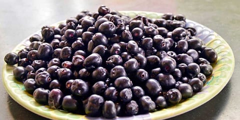 நலம் தரும் நாவல் பழம் நன்மைகள்!