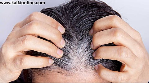 தலைமுடி ஏன் நரைக்கிறது? அமெரிக்க ஆய்வாளர்களின் புதிய கண்டுபிடிப்பு.