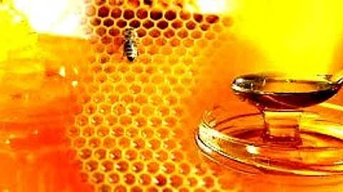 மார்த்தாண்டத்தில் உற்பத்தியாகும் தேனுக்கு புவிசார் குறியீடு!