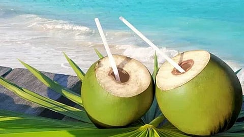 இளநீரின் பயன்களை பார்க்கலாம்!