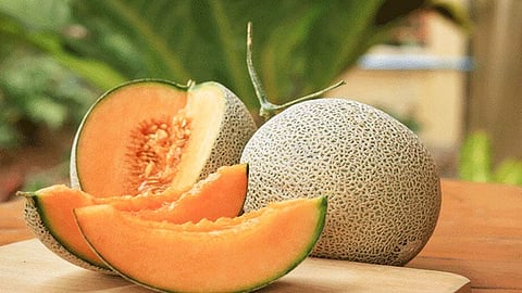 முத்தான நன்மைகள் தரும் முலாம் பழம்!