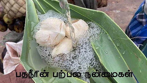 பதநீரின் பற்பல நன்மைகள்!