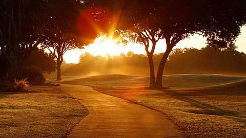 இன்று புதிதாய்ப் பிறந்தோம்!