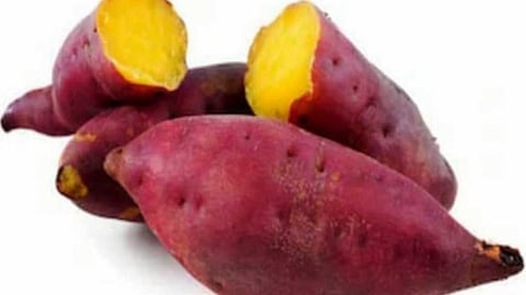 பெண்களுக்கு அளவற்ற நன்மைகளை அள்ளிக் கொடுக்கும் சர்க்கரை வள்ளிக்கிழங்கு!