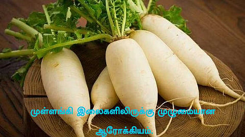 முள்ளங்கி இலைகளிலிருக்கு முழுமையான ஆரோக்கியம்!
