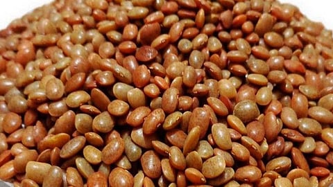 உங்கள் பிள்ளைகளை ஒல்லி பெல்லியாக்கும் கொள்ளுப் பயிறு!