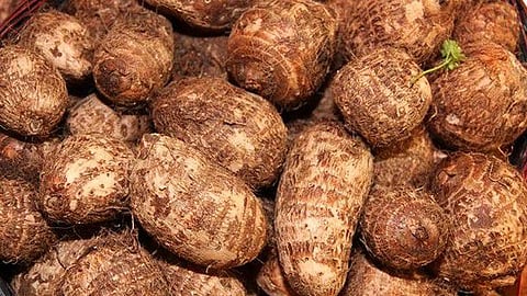 சேப்பங்கிழங்கின் பயன்கள் தெரியுமா?