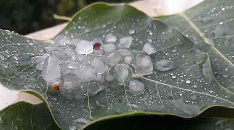 ஆலங்கட்டி மழையால் ஆச்சரியத்தில் ஆழ்ந்த கோவை மக்கள்!