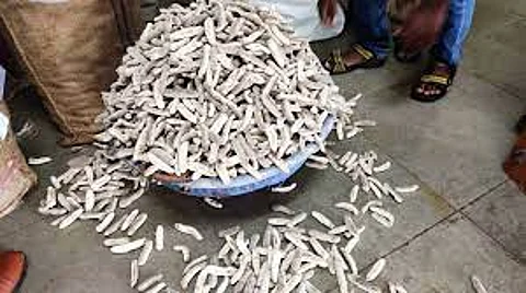 ராமேஸ்வரத்தில் கடல் வழியாக கடத்த முயன்ற 300 கிலோ கடல் அட்டைகள்!