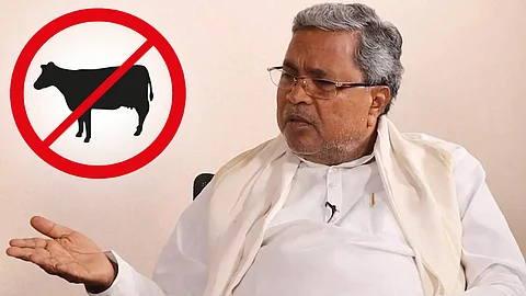 பசுவதை தடை சட்டம் குறித்து அமைச்சரவை விவாதிக்கும்: சித்தராமையா!