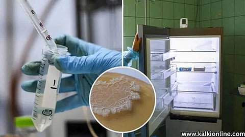 துப்புரவுப் பணியாளரின் தவறால் விஞ்ஞானியின்  20 ஆண்டுகால ஆய்வு அழிந்தது!