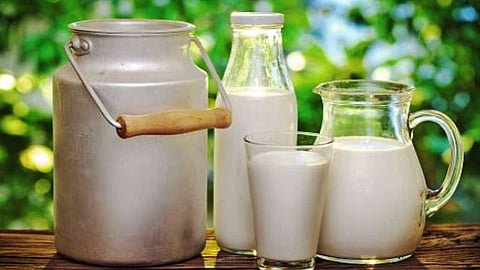 உயிர் திரவம் பால் !
