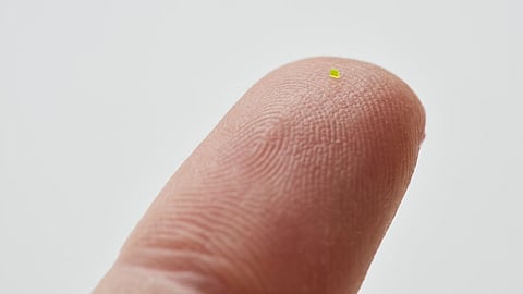 உங்கள் கண்ணுக்கு இந்த மினி ஹேண்ட்பேக் தெரிகிறதா?