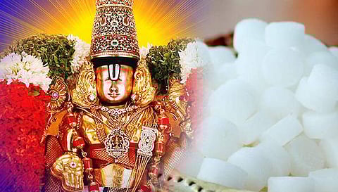 செல்வ செழிப்பைத் தரும் பச்சை கற்பூரம்!