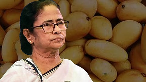 மம்தா தீதியின் மாம்பழ ராஜதந்திரம்!