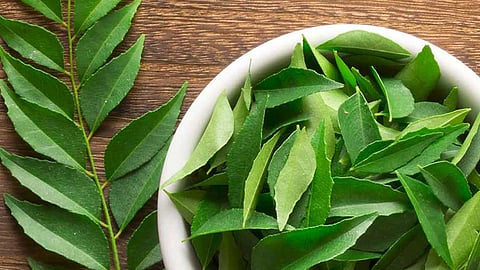 கண்களைக் காக்கும் கறிவேப்பிலை