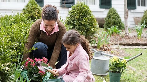 gardening