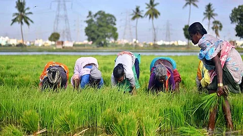 மாதிரி படம்