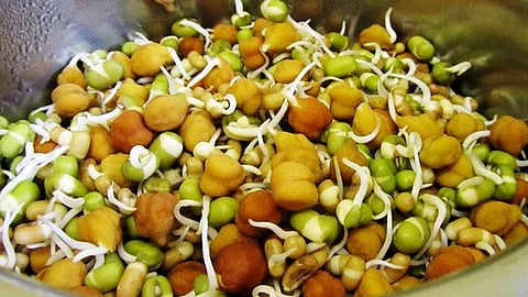 எதற்காக தானியங்களை முளைகட்டி
சாப்பிட வேண்டும்