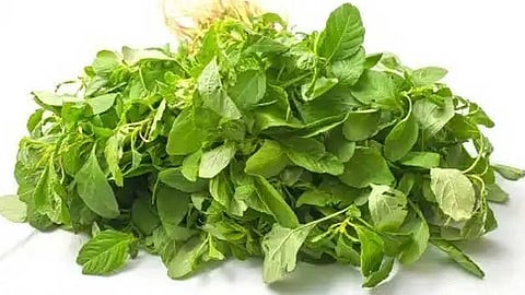 சிறு கீரை பெரும் பலன்கள்!