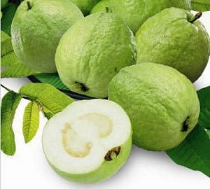 Guava
